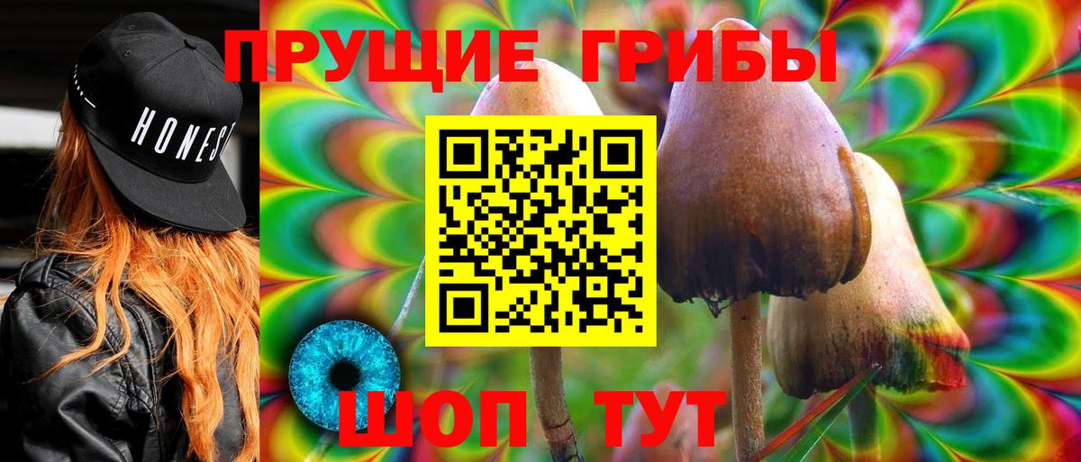 Ртищево  Псилоцибиновые грибы GOLDEN TEACHER  Вход с VPN 